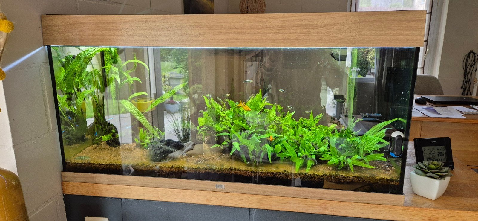 Aquarium Juwel 160 litres à donner, Enlèvement, Utilisé, Éclairage