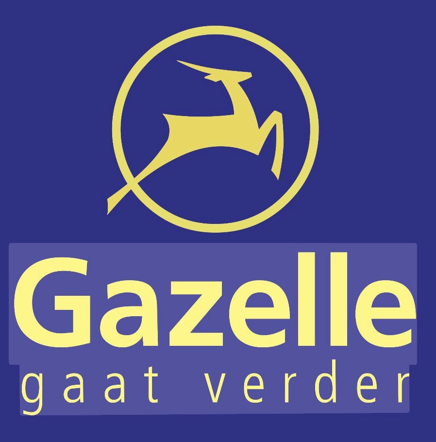 Gazelle Mallorca C7+, Vélos & Vélomoteurs, Vélos électriques, Utilisé, Gazelle, Enlèvement