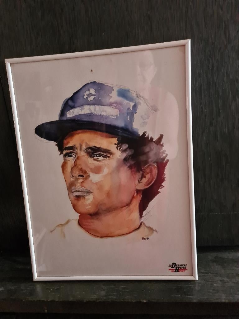 Cadre Ayrton Senna, Collections, Enlèvement, Utilisé, Voitures