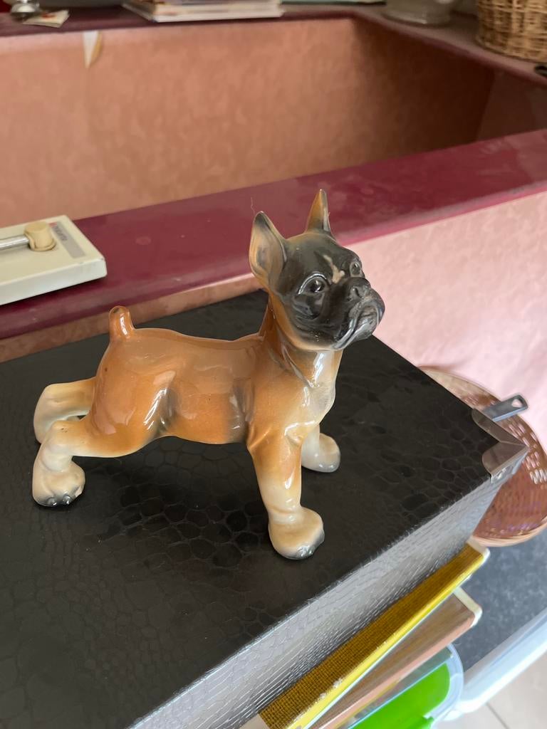 Chien boxer, Enlèvement