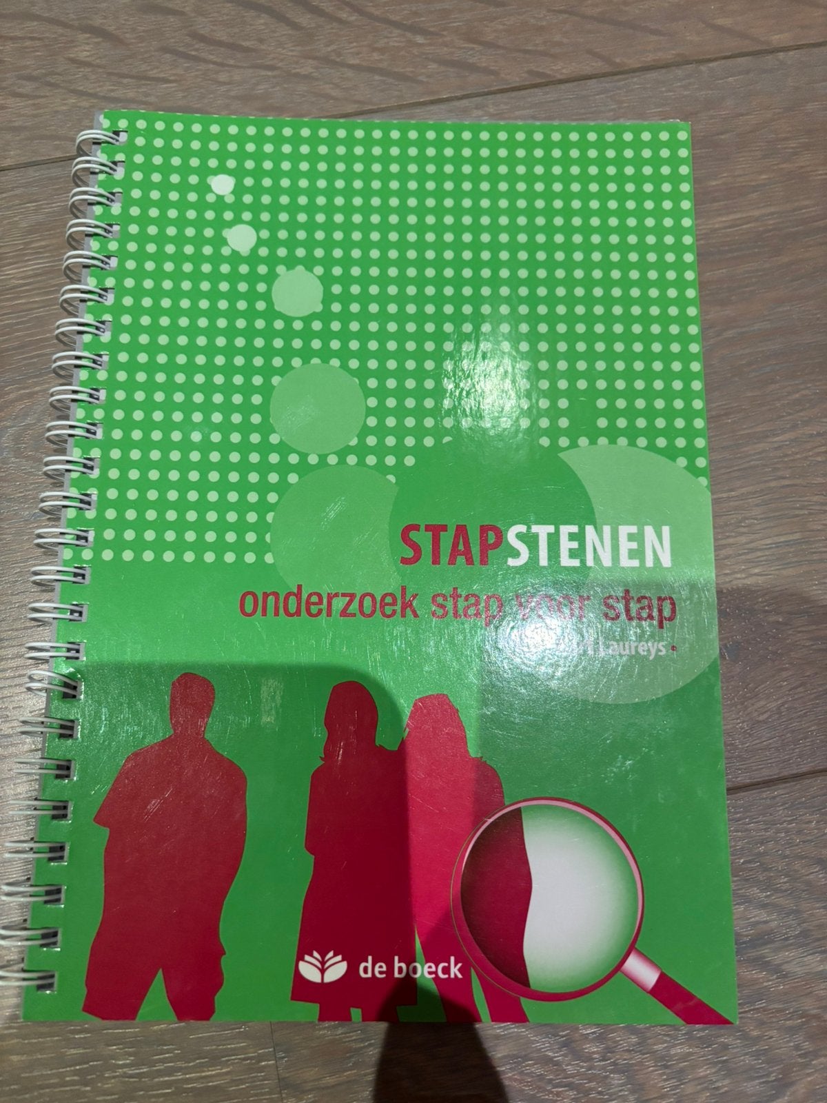 Laureys - Stapstenen, Boeken, Ophalen of Verzenden, Nederlands, Laureys