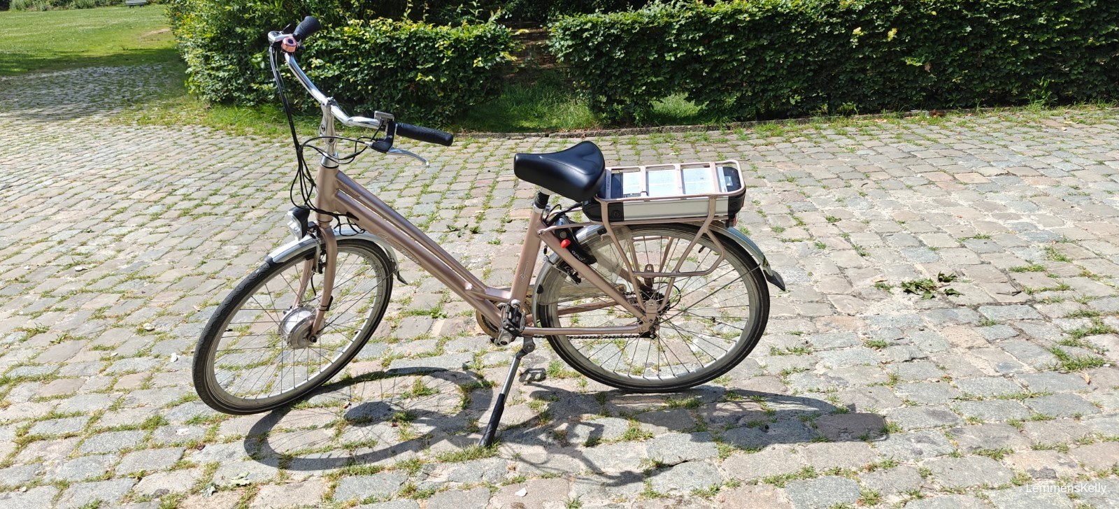 Electrische fiets, Fietsen en Brommers, Ophalen