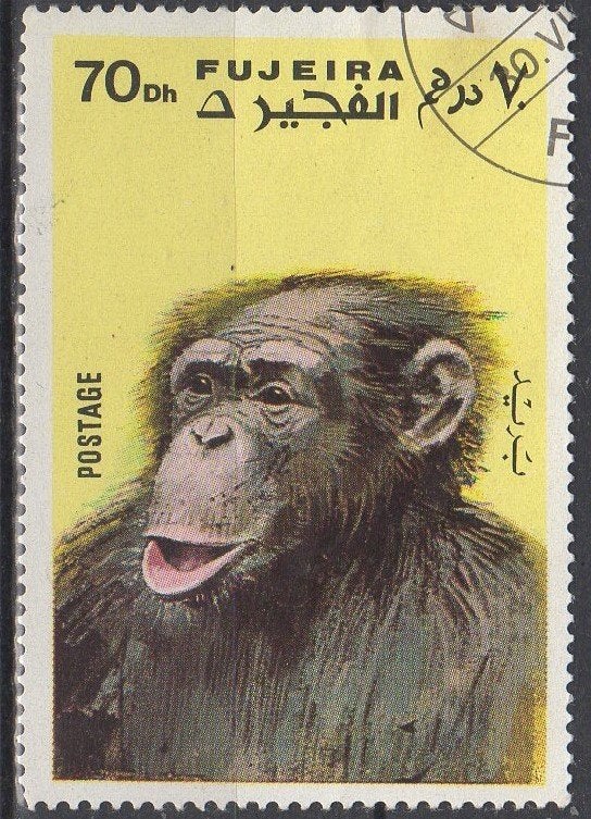 Fujeira - Chimpansee - 1972, Verzenden, Gestempeld