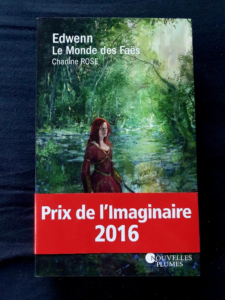 Edwenn / Le Monde des Faës, Enlèvement ou Envoi