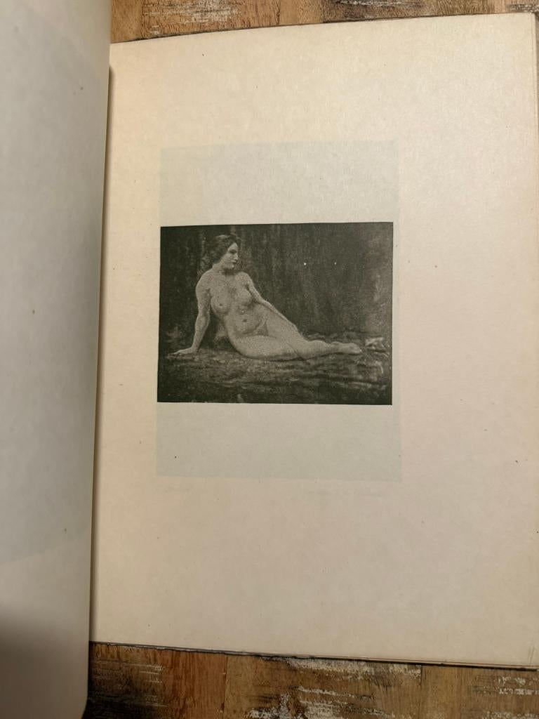 Les nus d'Emile Baes - Georges Verdavaine, Boeken, Gelezen, Ophalen of Verzenden, Georges Verdavaine, Schilder- en Tekenkunst