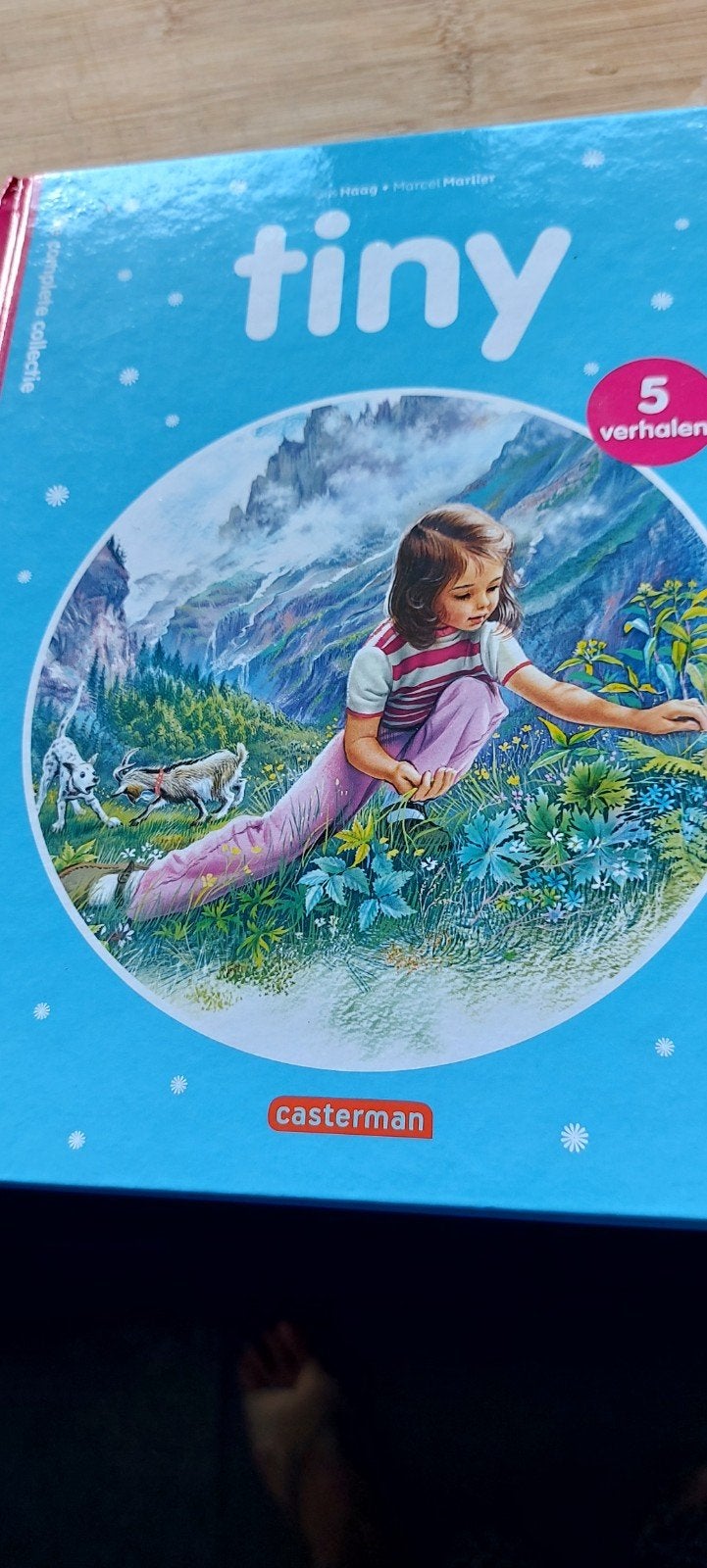 tiny boeken met meerdere verhalen, Boeken, Ophalen of Verzenden