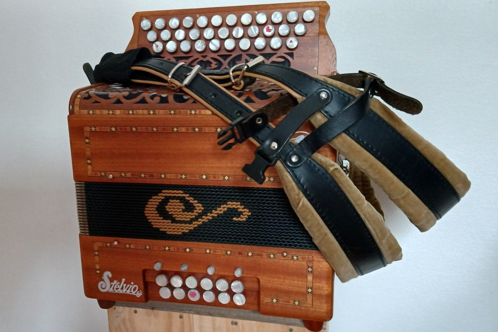 Accordéon diatonique Stelvio  Cézembre 3 rangs, Musique & Instruments, Autres marques, Autres formats, Avec valise, Enlèvement