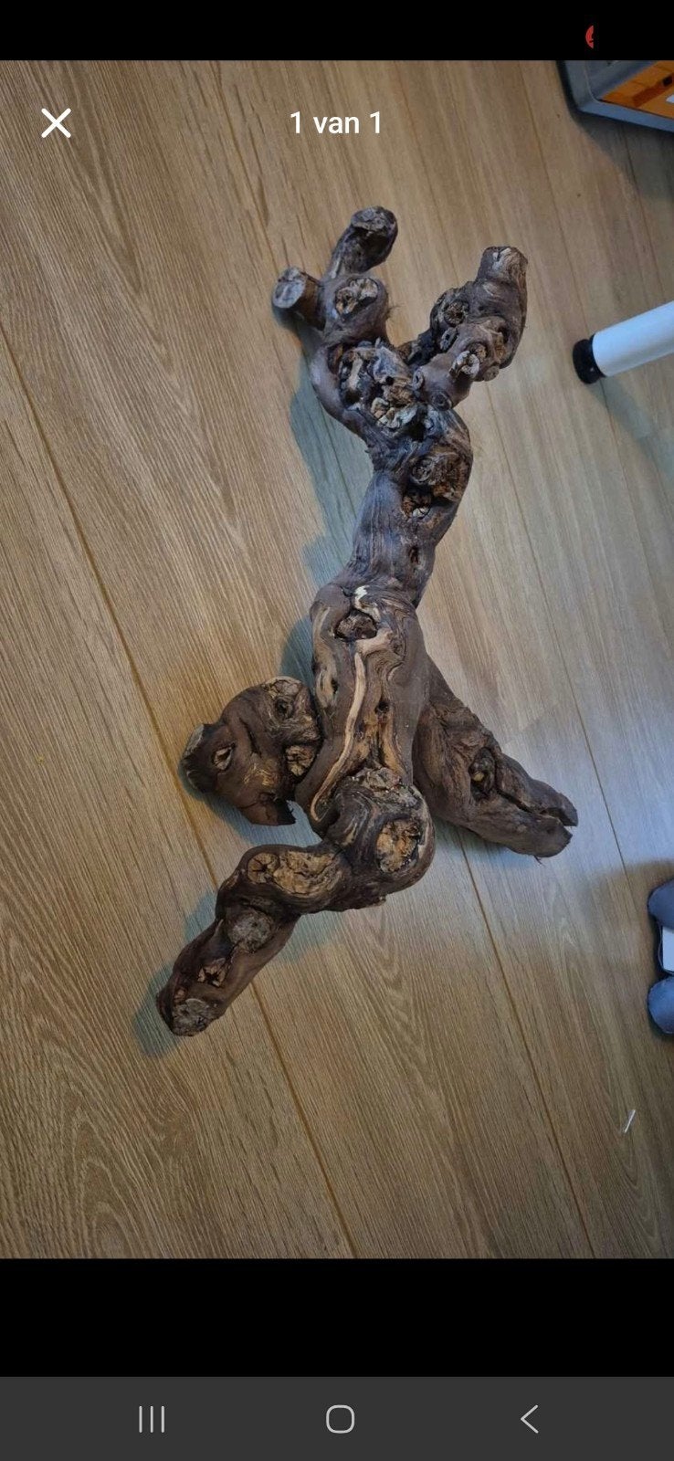 Tak terrarium decoratie 10€, Animaux & Accessoires, Reptiles & Amphibiens | Accessoires, Enlèvement