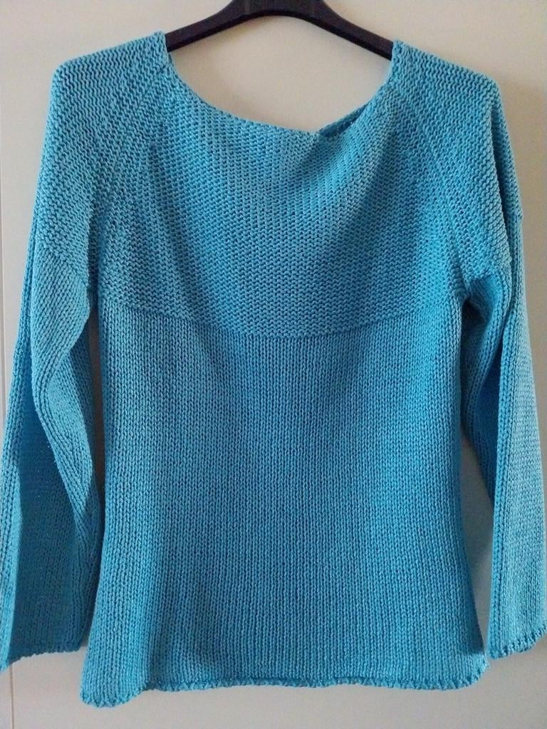 Trui Maat S, Ophalen of Verzenden, Maat 36 (S), Blauw