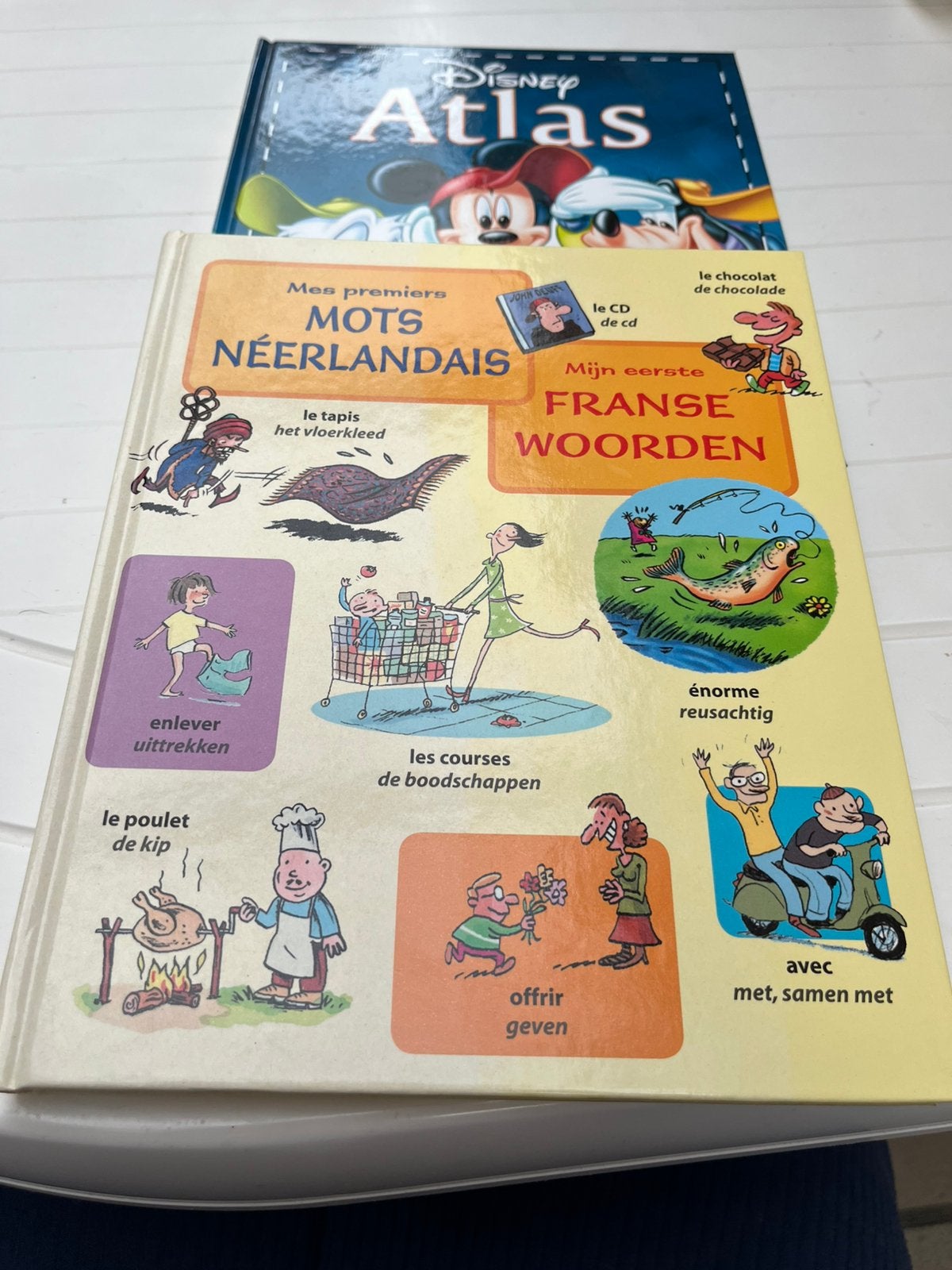 Boek mijn eerste franse woordjes, Ophalen of Verzenden, Zo goed als nieuw