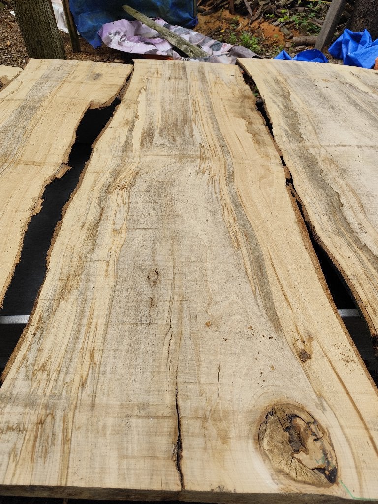 beuk planken, Verzenden, Nieuw, 200 tot 250 cm, Plank