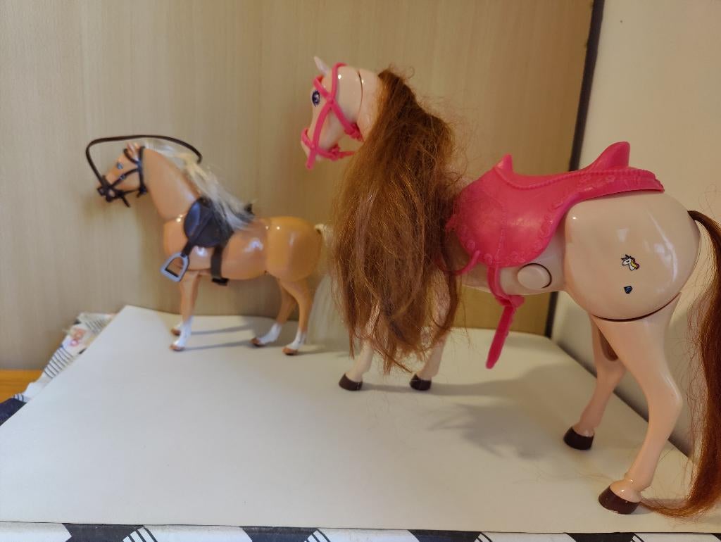 TWEE BARBY PAARDJES, Enlèvement ou Envoi