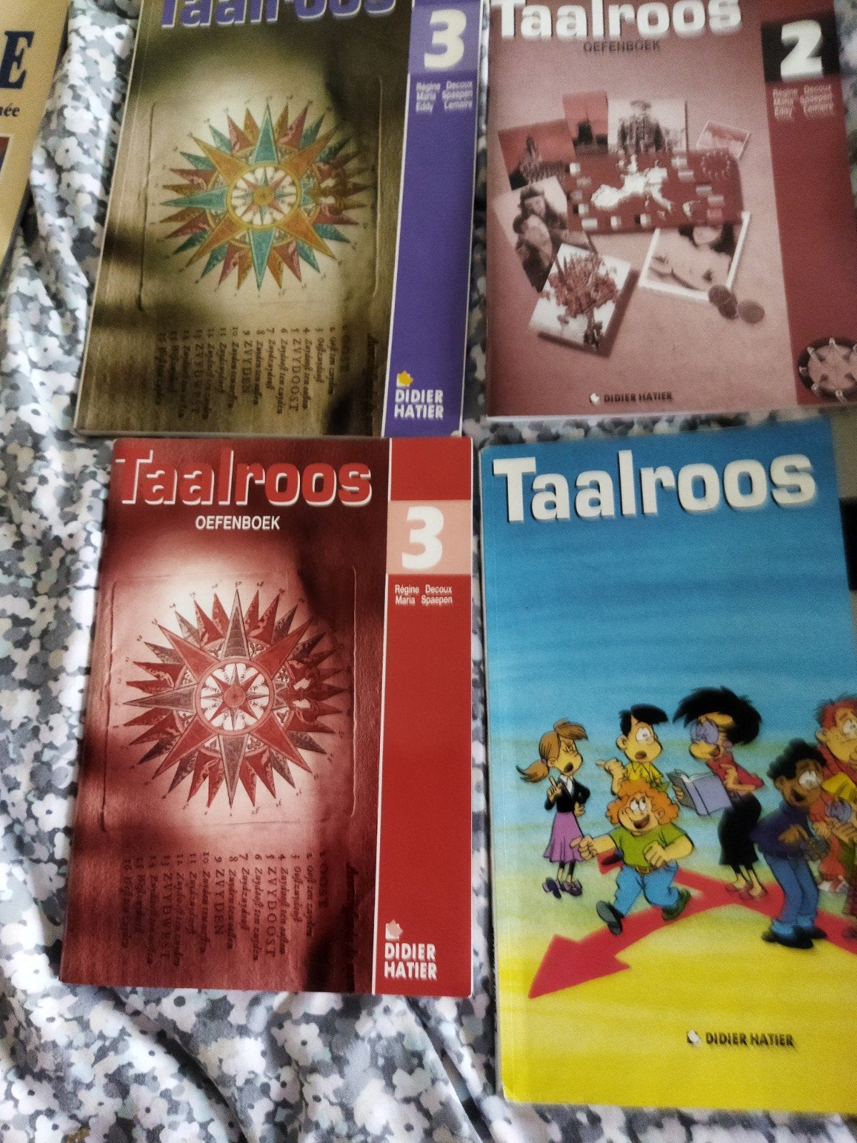 4 manuels scolaires Nederlands, Livres, Livres scolaires, Enlèvement ou Envoi, Comme neuf, Enseignement secondaire inférieur, Didier Hatier