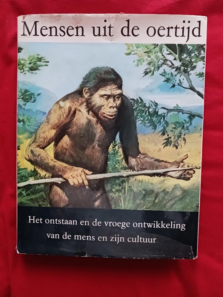 Mensen uit de oertijd, Boeken, Geschiedenis | Wereld, Gelezen, Ophalen of Verzenden
