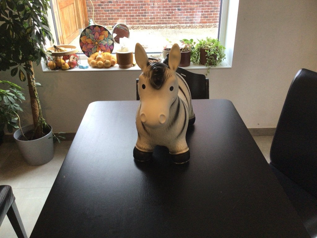Hippy skippy - zebra - 57x26x49cm, zithoogte 28 cm, Ophalen, Gebruikt, Jongen of Meisje
