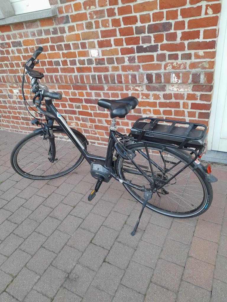 Elektrische fiets Thompson, Fietsen en Brommers, Ophalen