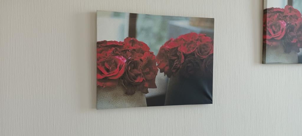 Canvas(2) 48cmx35cm, Ophalen of Verzenden