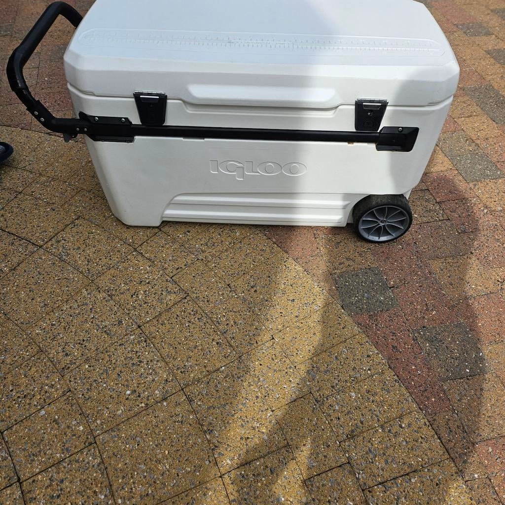 koelbox met wielen merk Igloo 104 LITER, Ophalen, Koelbox