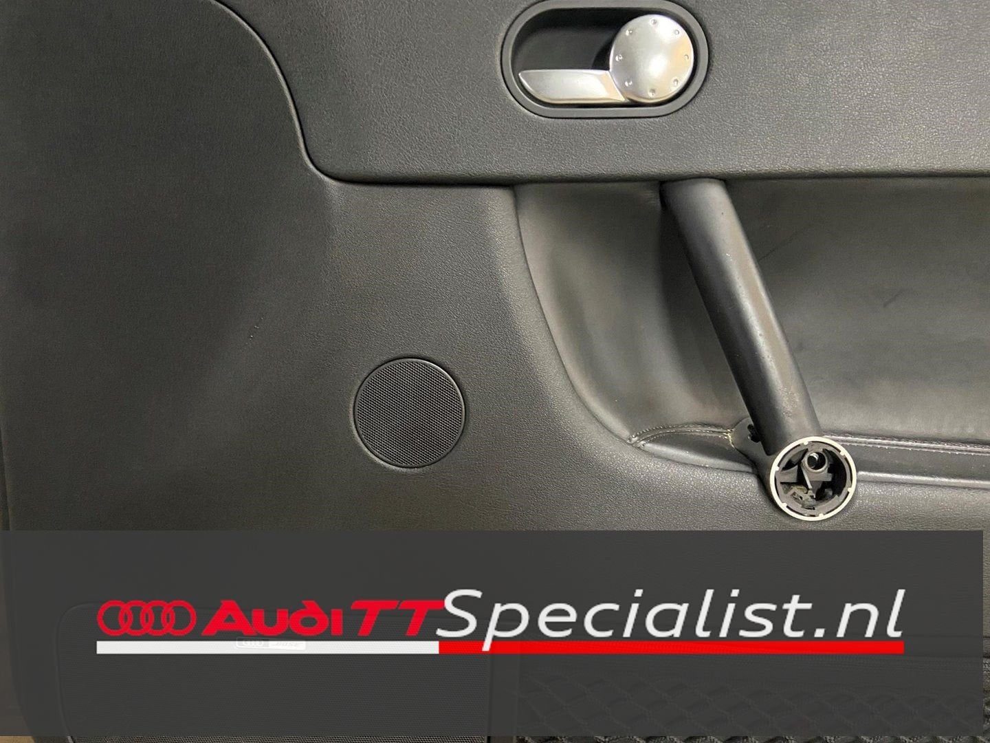 gebruikte deurpaneel rechts Audi TT 8N MK1 1998-2006, -, -, Audi, Enlèvement