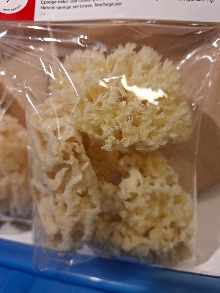 Éponges naturelles pour peinture, Hobby & Loisirs créatifs, Neuf, Matériel de bricolage, Enlèvement, Compatible avec le carton