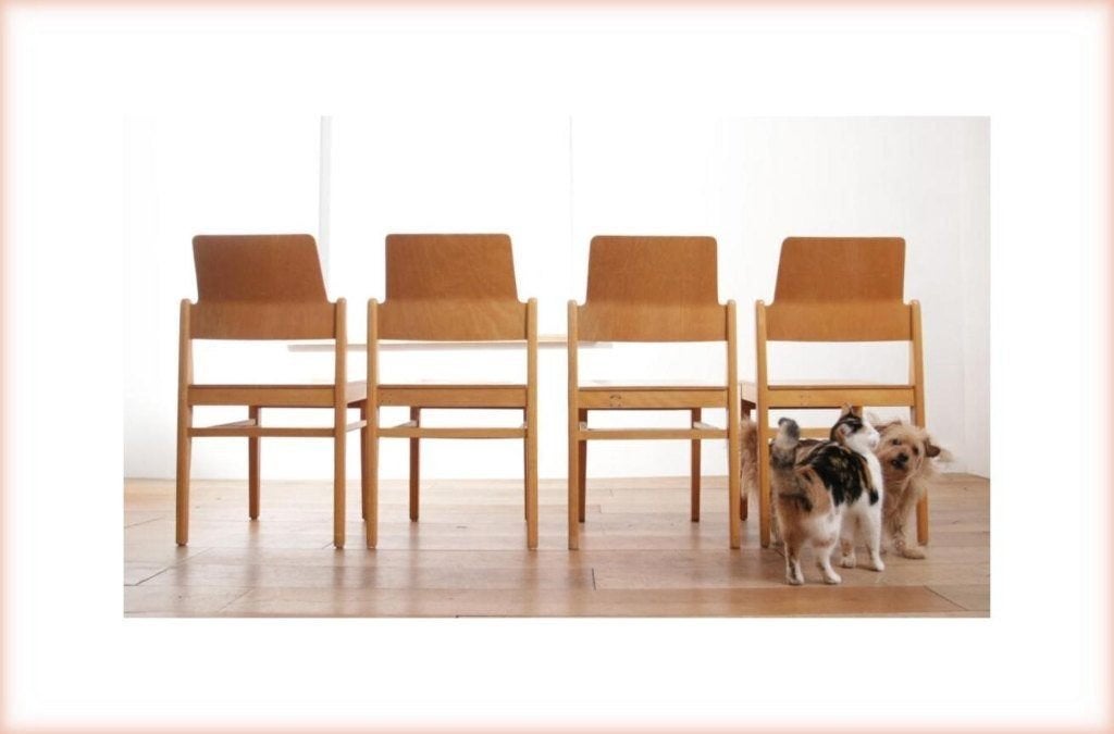 Vintage Design houten stoelen met plaats voor je tijdschrift, Enlèvement