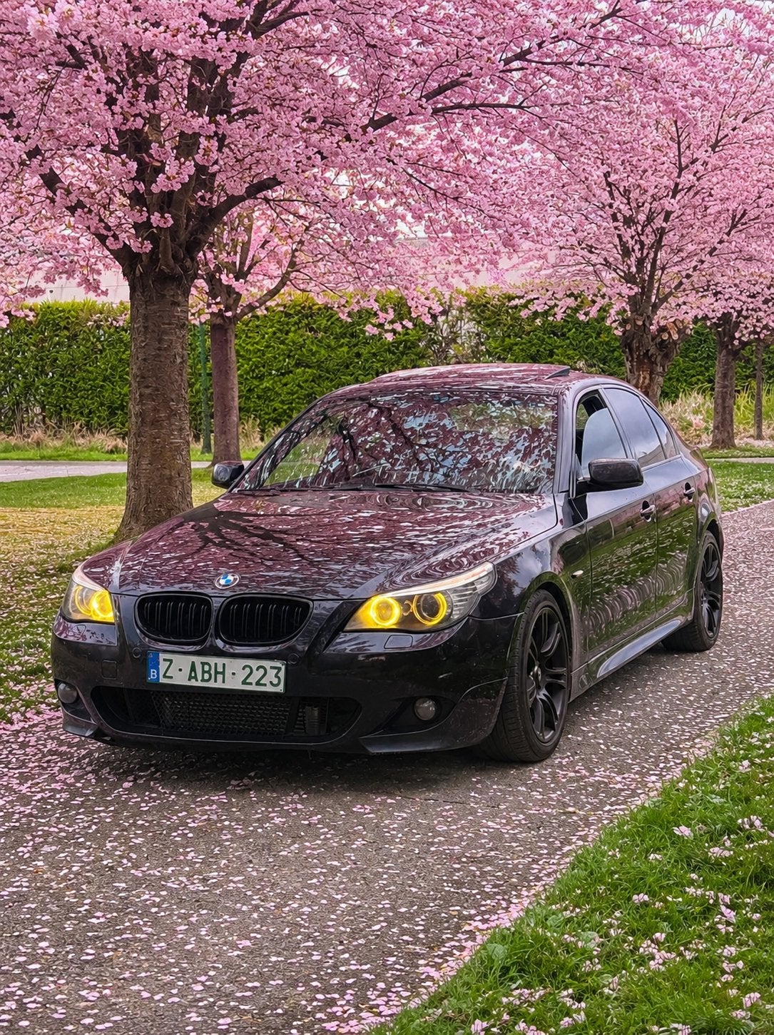 BMW 525D 3.0 LCI M-Pakket, Auto's, Automaat, Bedrijf, Diesel, Apple Carplay