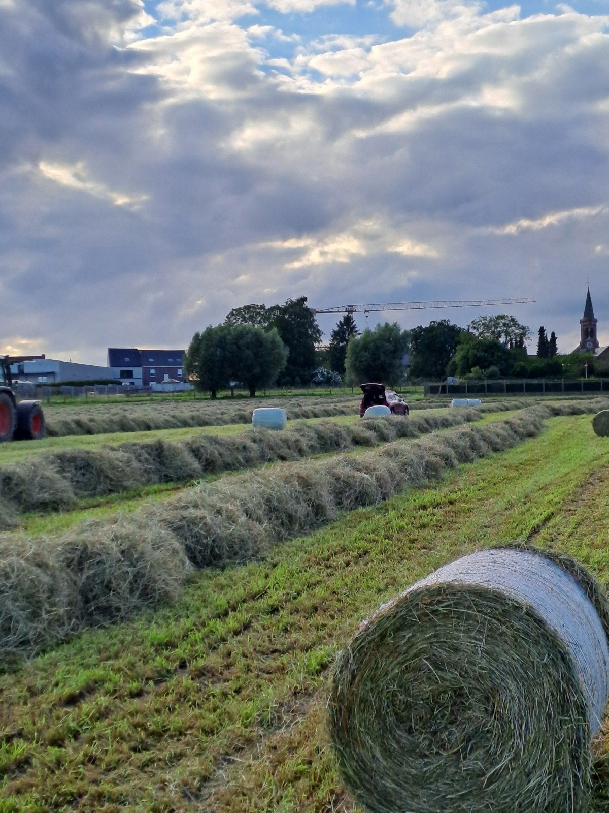 hooi onkruidvrij top kwaliteit, Ophalen of Verzenden