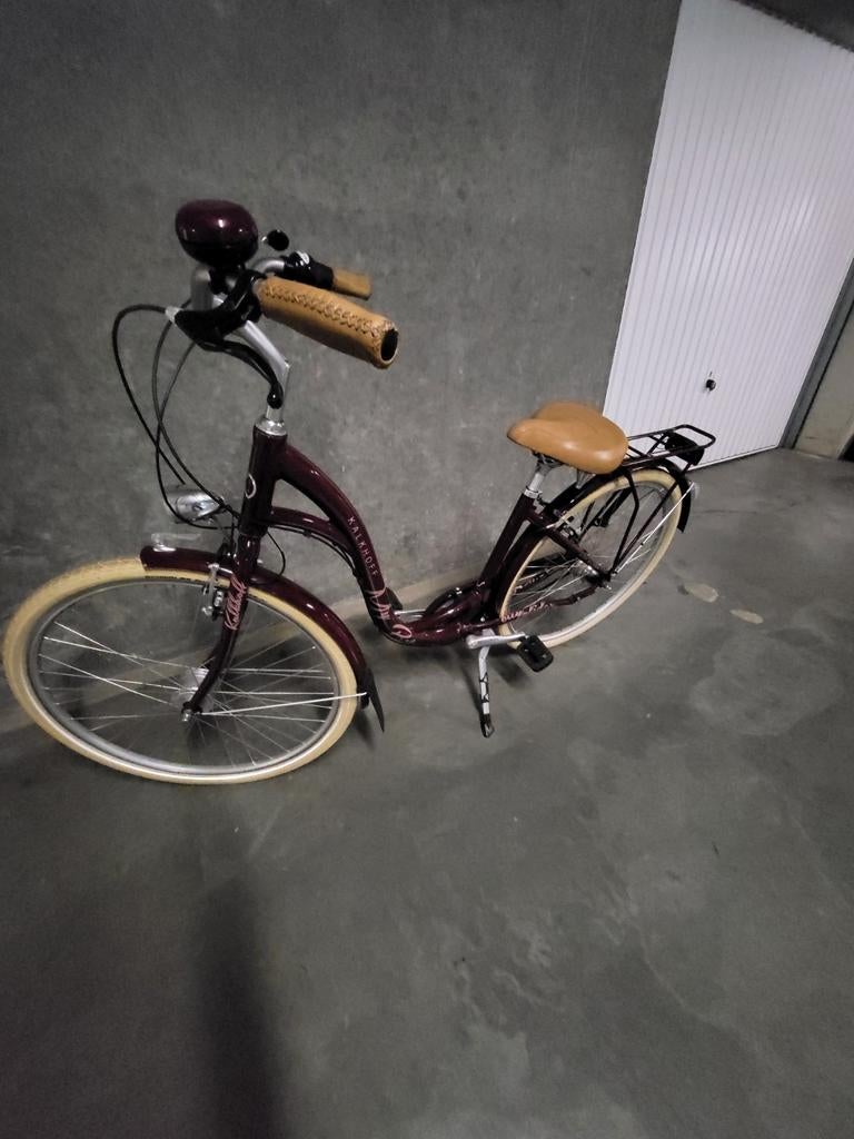 Prachtige dames- of meisjesfiets - framemaat 45, Fietsen en Brommers, Ophalen of Verzenden, Terugtraprem, Versnellingen