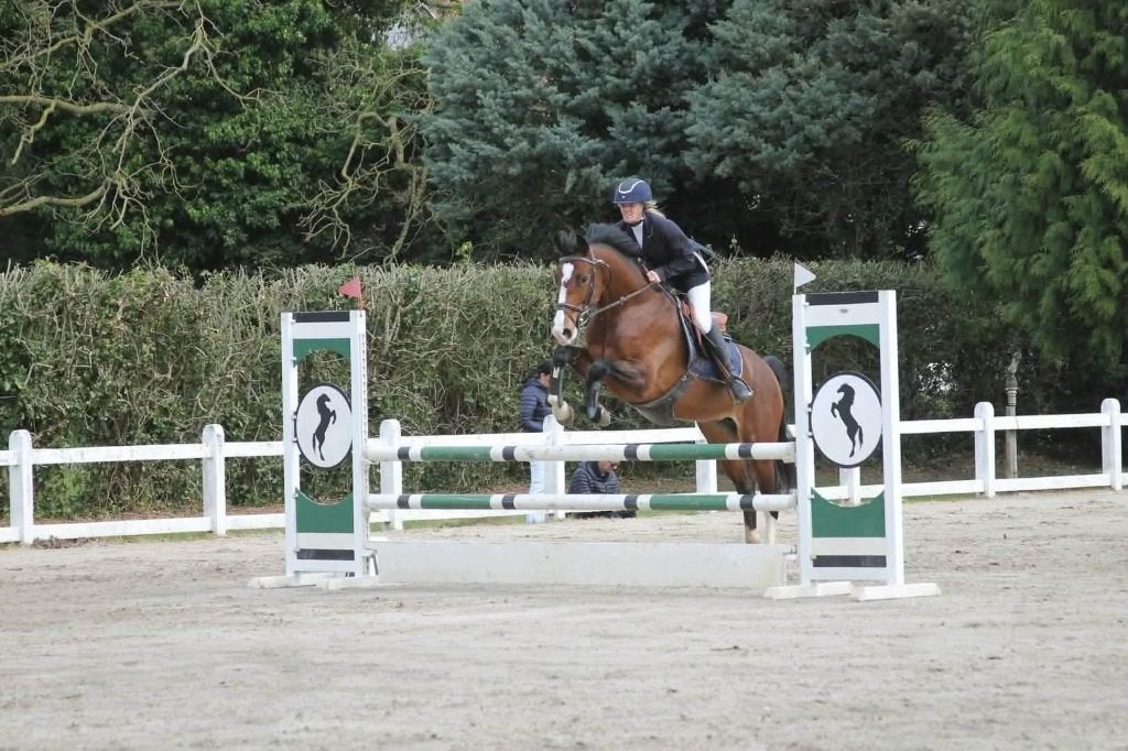 5-jarige BWP springmerrie, Dieren en Toebehoren, Paarden, Merrie, Springpaard, Met stamboom, Zadelmak