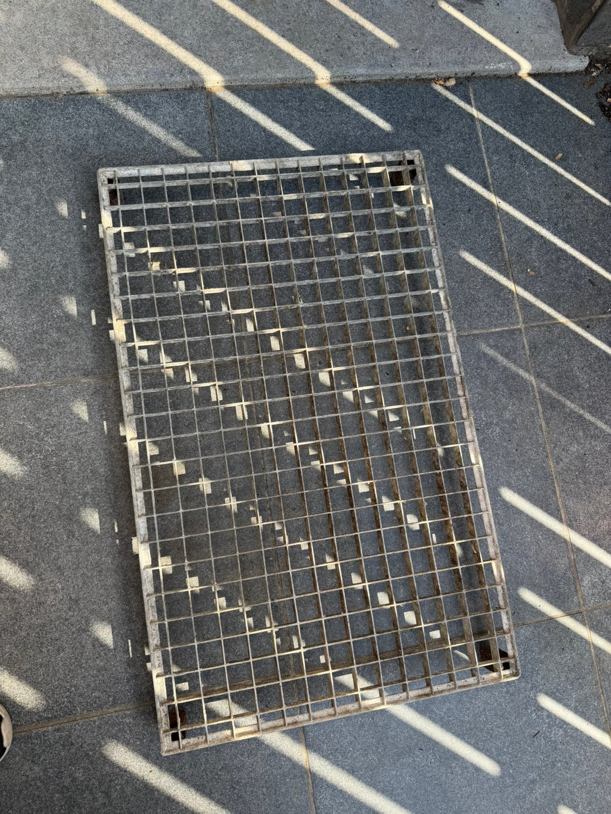 Vogel duiven, Dieren en Toebehoren