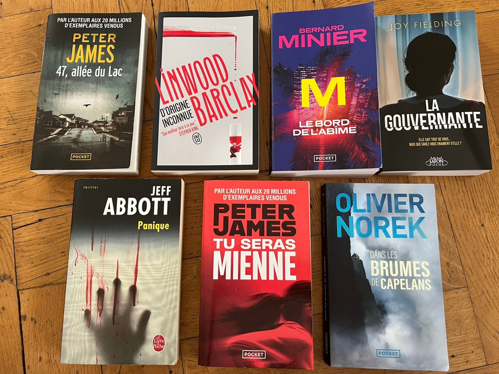 Thriller, Livres, Enlèvement, Comme neuf