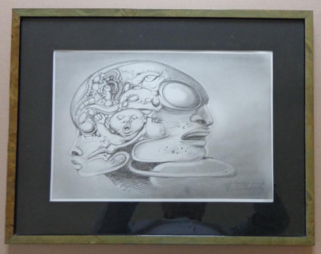 ROGER VAN BELLEGHEM / HOOFDEN / ORIGINEEL / 41x53cm / KADER, Antiquités & Art, Art | Dessins & Photographie, Enlèvement ou Envoi