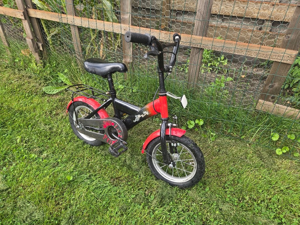 Jongensfiets 12 inch / 12", Ophalen, Gebruikt, Terugtraprem, 14 inch of minder