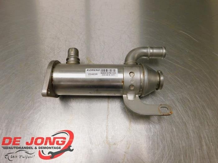 Refroidisseur RGE d'un Peugeot 308, -, 3 mois de garantie, Utilisé, -