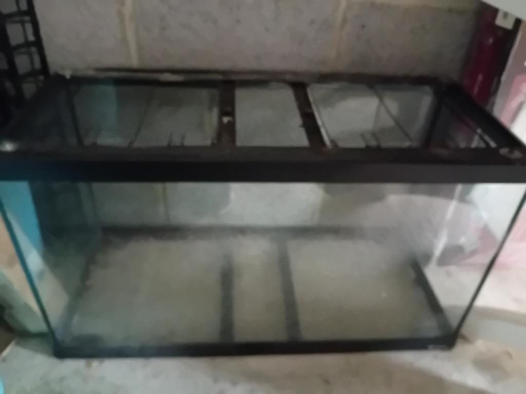 Terarium, Dieren en Toebehoren, Ophalen, Gebruikt, Terrarium of Paludarium