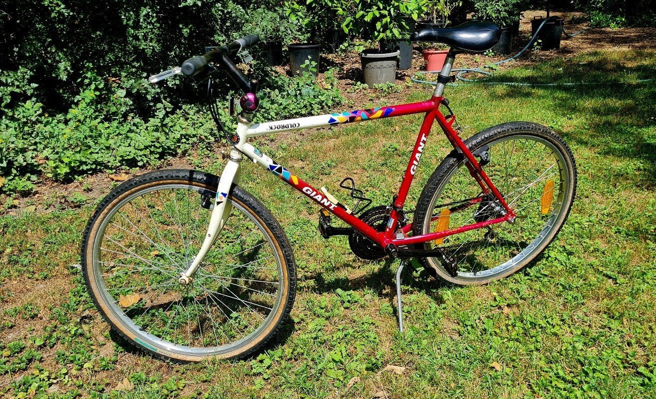Giant MTB mountainbike – ideale stadsfiets - Anti-diefstal!, Ophalen, Giant