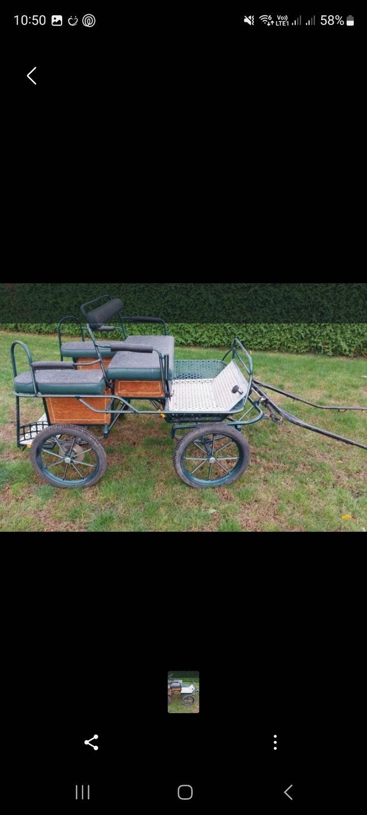 Recreatie koets met getuig. B-pony of groter, Animaux & Accessoires, Poney