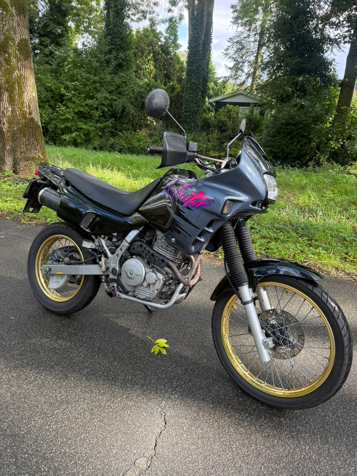Honda nx 650 dominator, Motoren, Ophalen