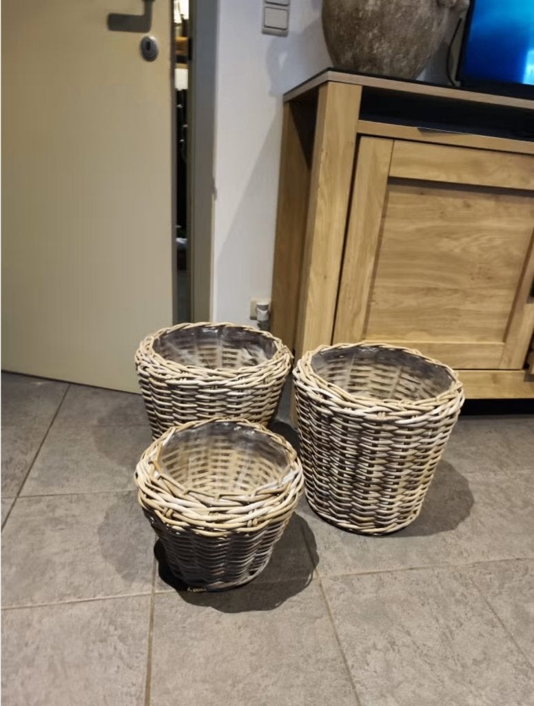 Set van 3 rieten planten manden, Ophalen, Nieuw, Gevlochten