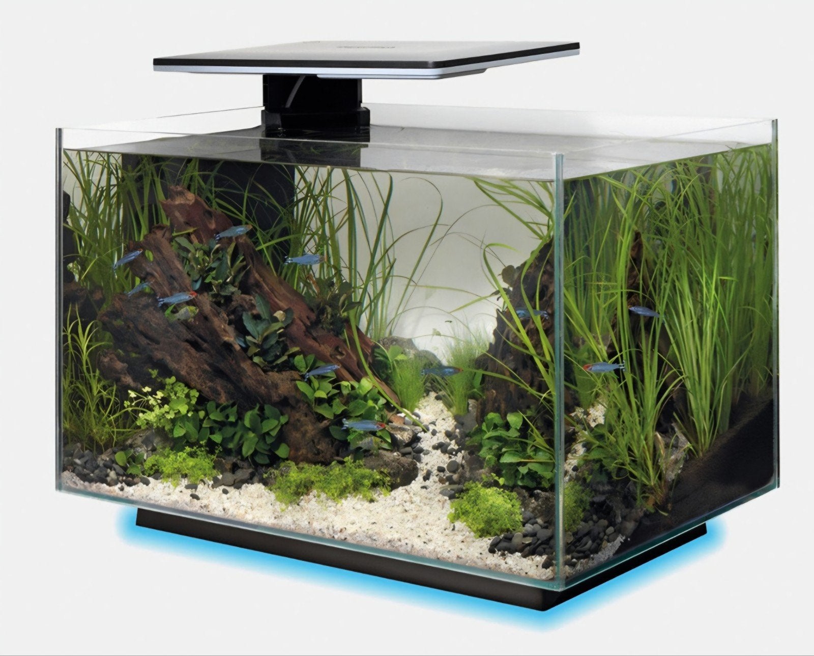 Aquarium Superfish quadro 40L pro, Ophalen, Zo goed als nieuw, Superfish
