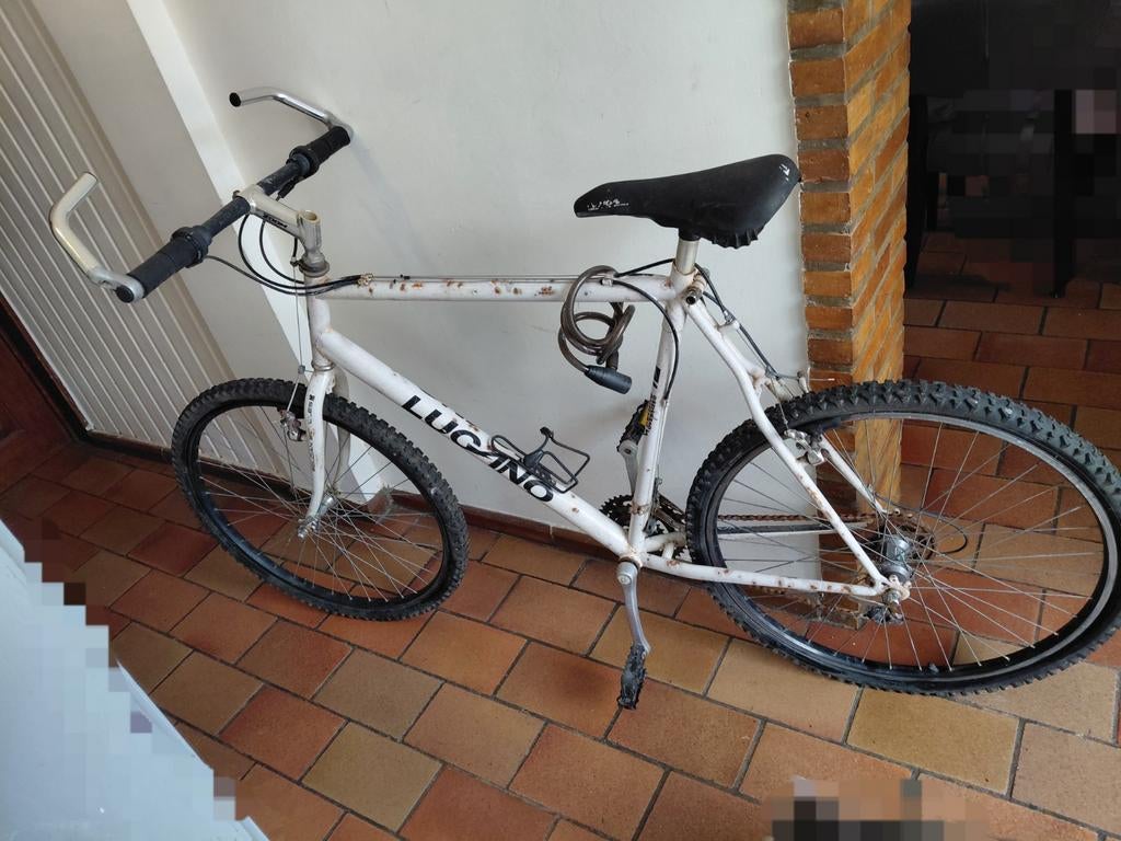 Vélo vtt de marque Lucino, Ophalen