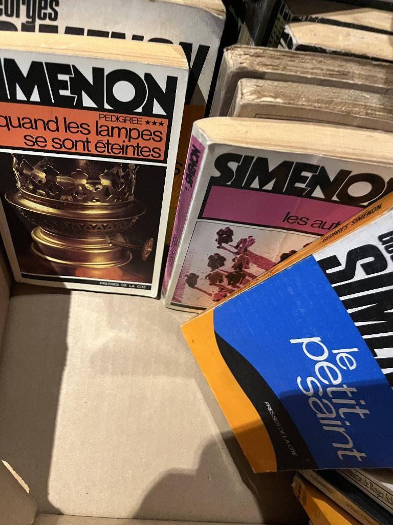 Romans Georges SIMENON, Livres, Enlèvement ou Envoi, Utilisé, Georges Simenon