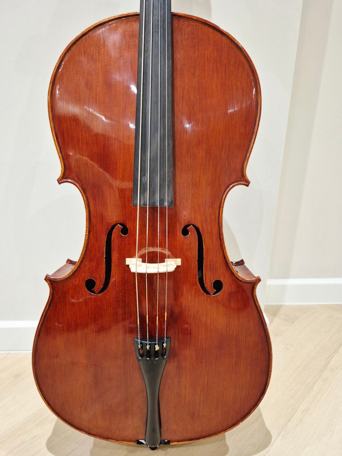 Prachtige 4/4 cello Stentor Arcadia SR1596 met stok en hoes, Muziek en Instrumenten, Ophalen, Zo goed als nieuw, 4/4-cello, Met koffer