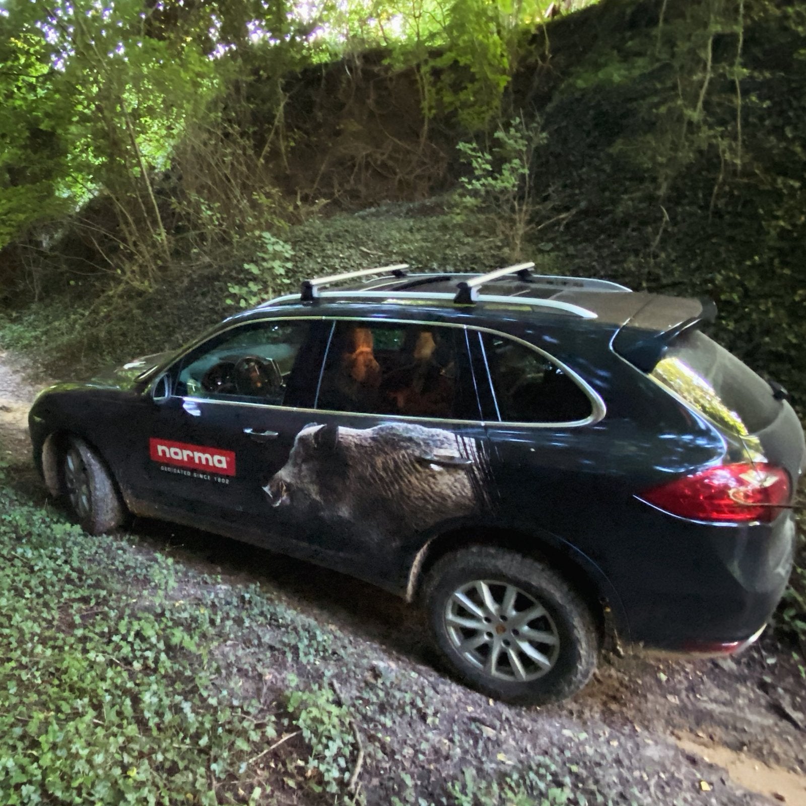 Cayenne S utilitaire, Cuir, Achat, 300 cm³, 2 places