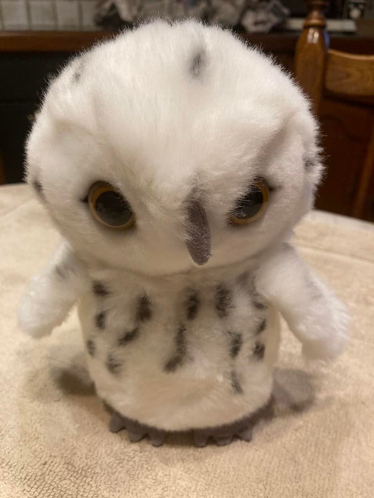 Mooie witte sneeuwuil,zoo Planckendael 20 cm, Enlèvement ou Envoi, Comme neuf, Autres types