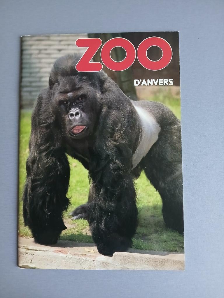 ancienne brochure zoo d'Anvers, Enlèvement ou Envoi