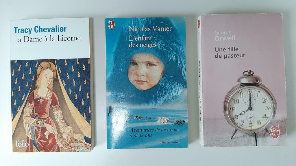 Divers romans : 2€/pièce (voir photos), Livres, Enlèvement ou Envoi, Comme neuf
