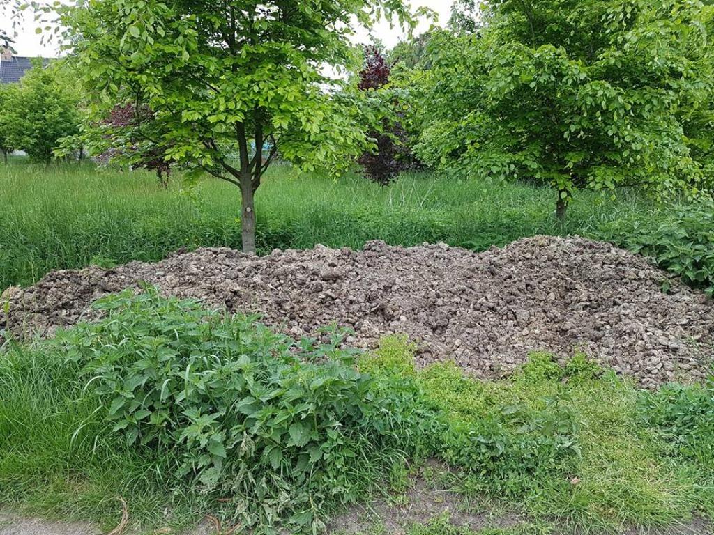 Gratis zuivere paardenmest - Borsbeek / Wommelgem, Ophalen, Mest