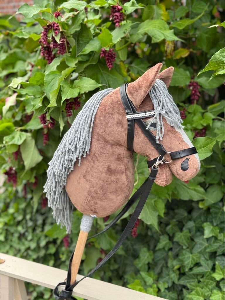 Hobby  Horse Gabber, Hobby en Vrije tijd, Ophalen