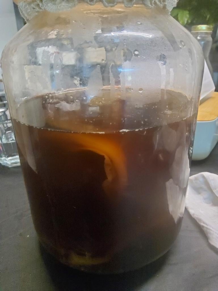 Kombucha - Scoby, Enlèvement